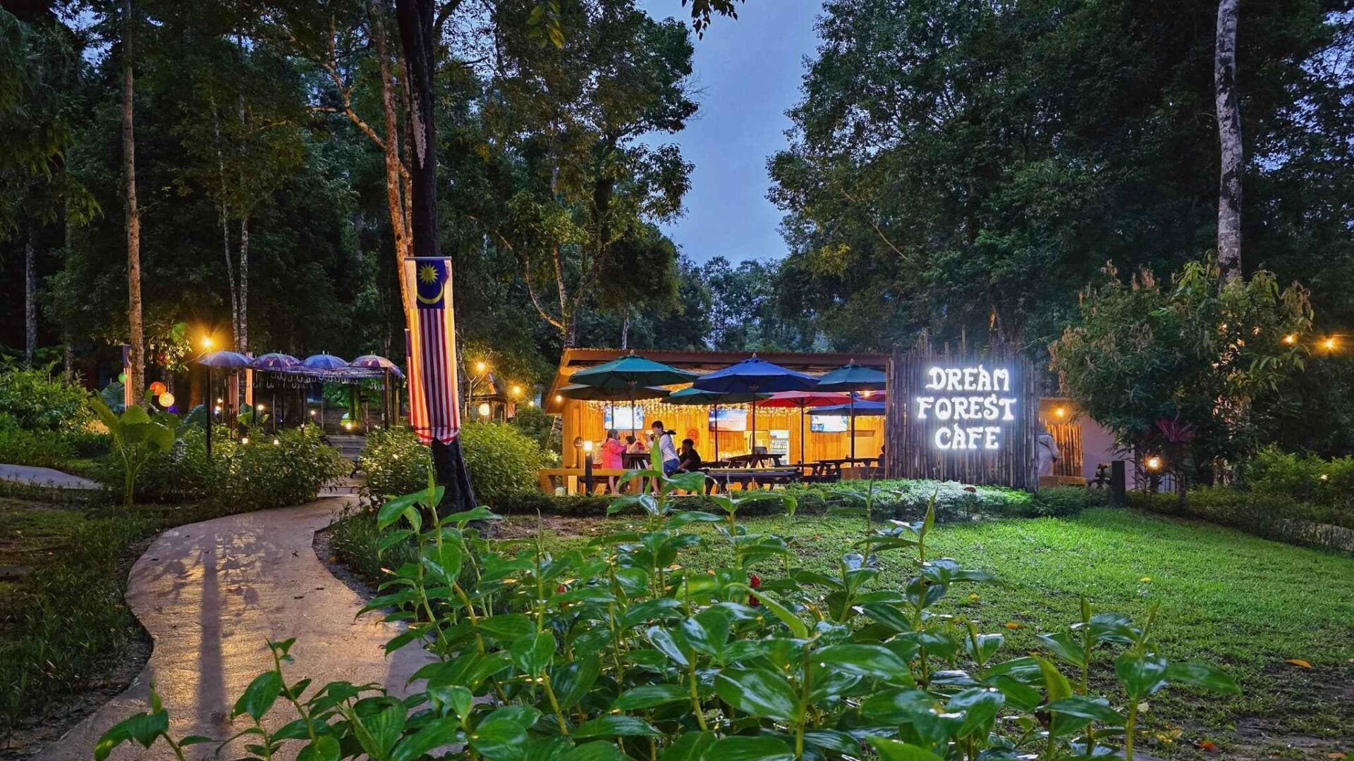 Café iluminado en medio de un bosque durante la noche con luces cálidas y ambiente natural relajante