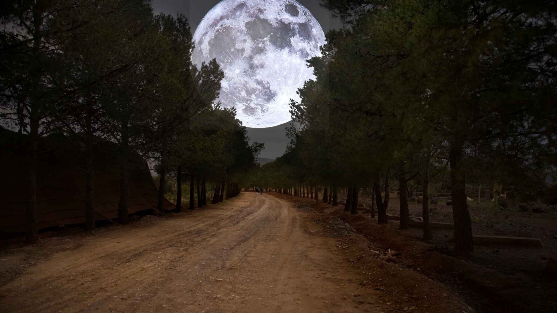 camino oscuro en bosque con luna llena gigante en el cielo escena nocturna misteriosa
