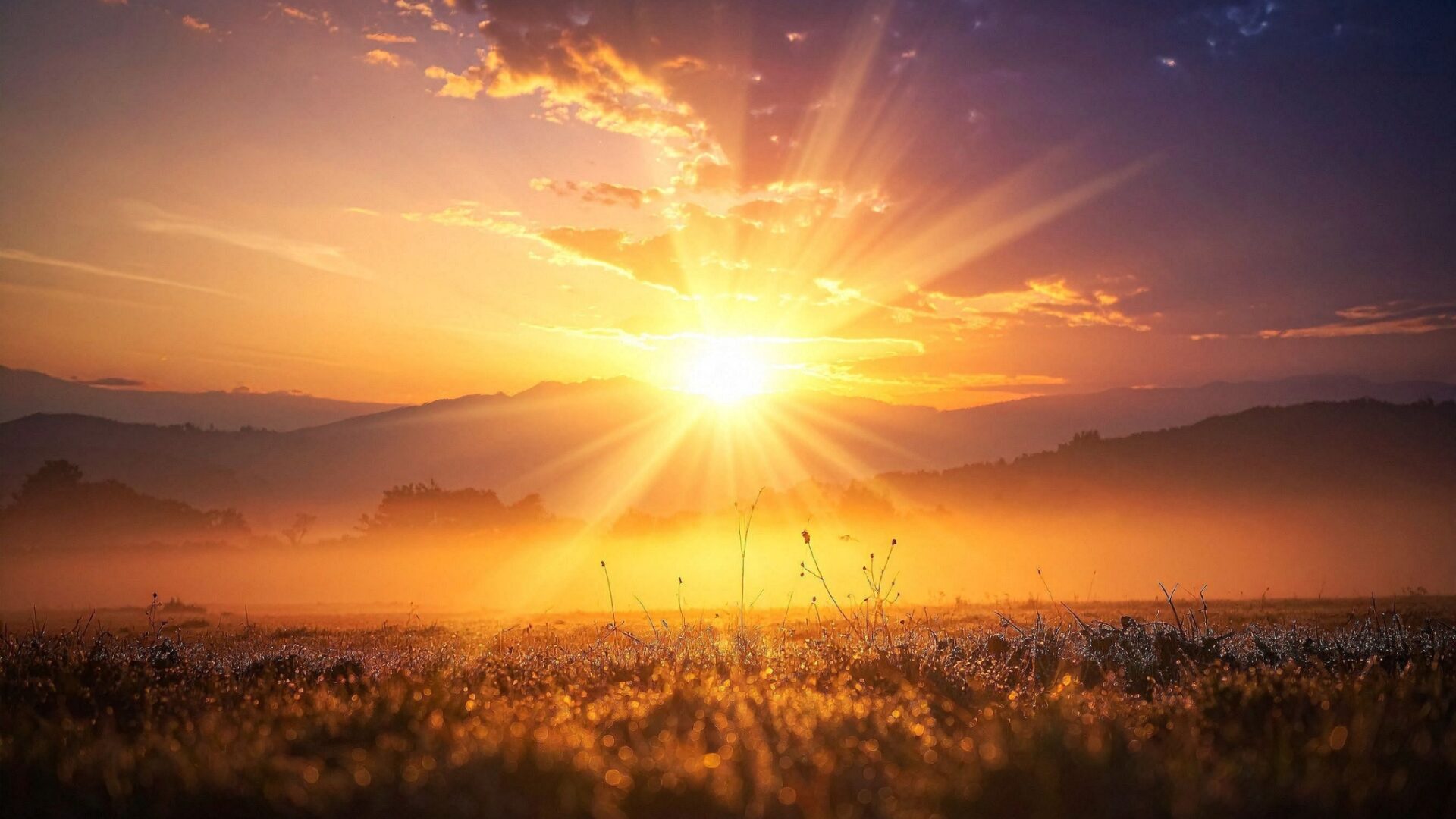 sol brillante al amanecer en el campo significado de soñar con el sol