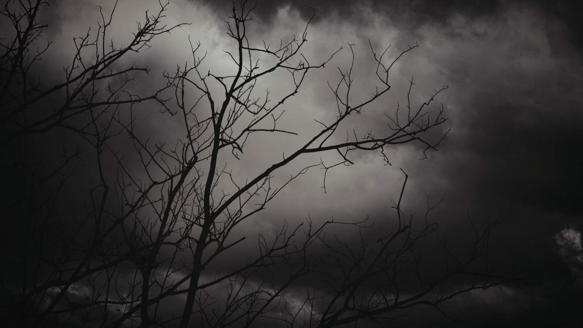 cielo oscuro con arboles sin hojas ambiente misterioso sueño de oscuridad y significado simbolico