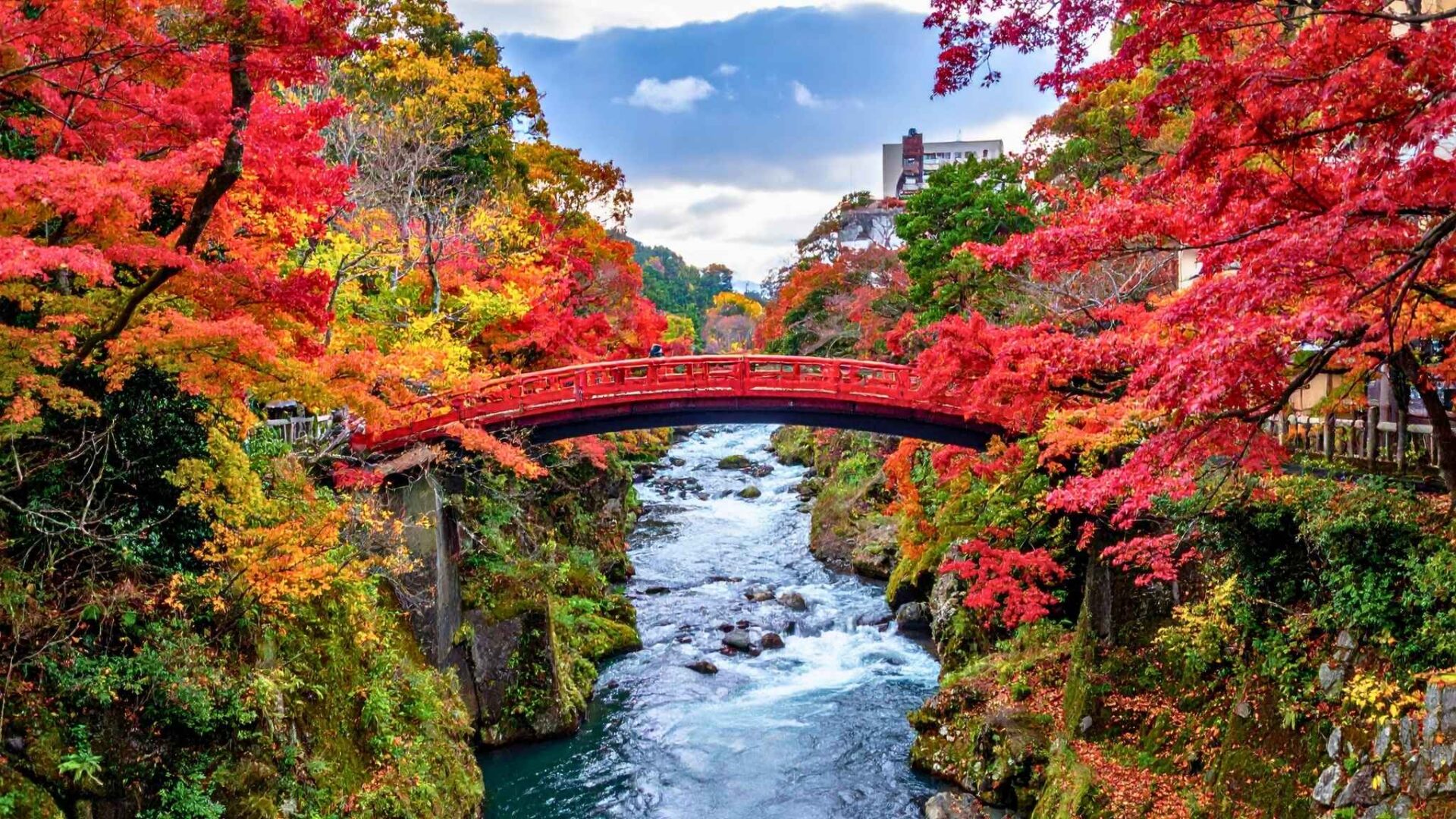 Puente rojo sobre río rodeado de árboles con hojas de otoño en paisaje natural